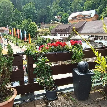 Hotel Pfaff-3