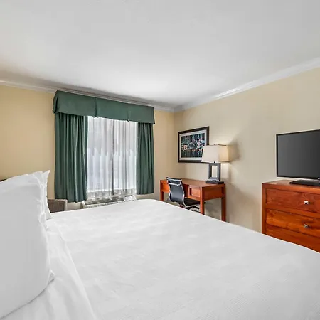 Best Western Plus Eagle Vail Airport-3
