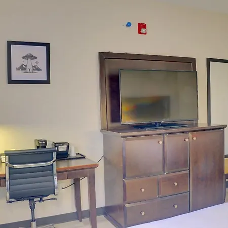 Quality Inn & Suites Roswell North-3