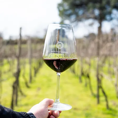 Resort & Winery Bosco De Medici-2