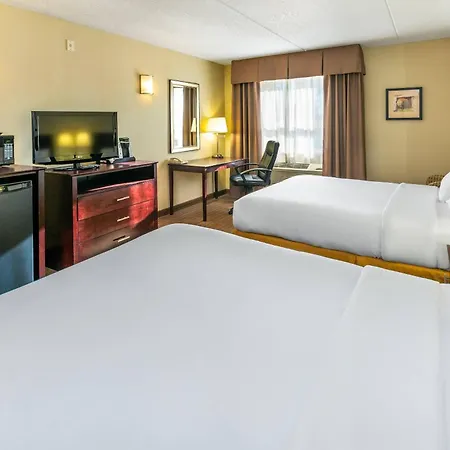 Comfort Inn & Suites-3