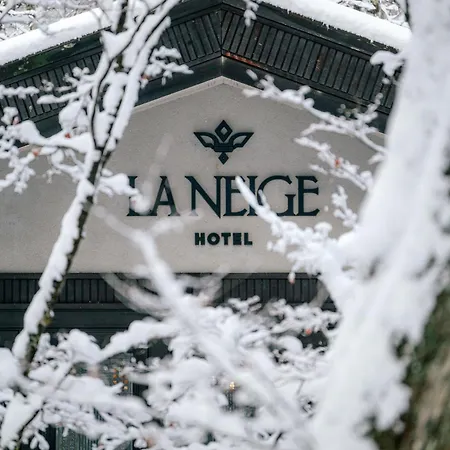 Hotel La Neige-3