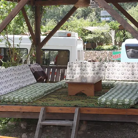 Saban Tree Houses-3