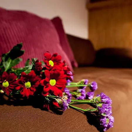 Dahlia Inn-3