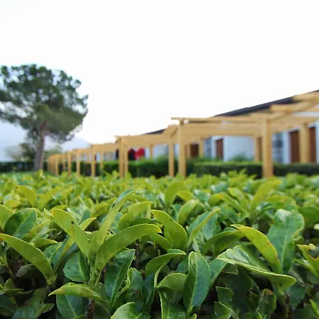 Hotel Camping Europa-2