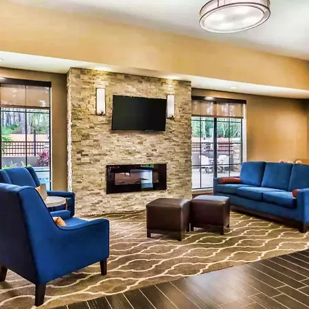Comfort Suites Houston I45 North-3