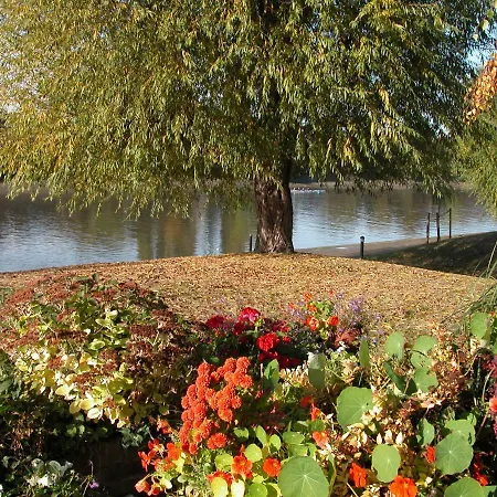 Chiswick Riviera With Free Parking-2