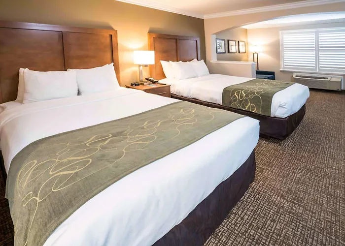 Comfort Suites Fresno River Park