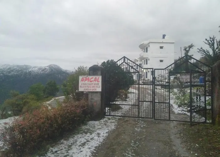 Apical Resort