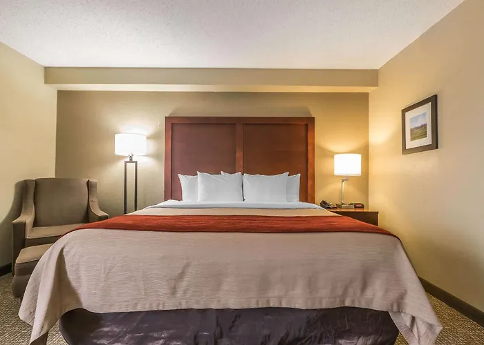 Comfort Inn & Suites Lexington - Hamburg I-75