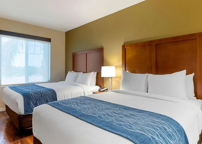Comfort Inn & Suites Near Ontario Airport
