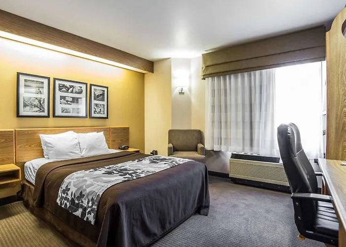 Quality Inn Moab Slickrock Area