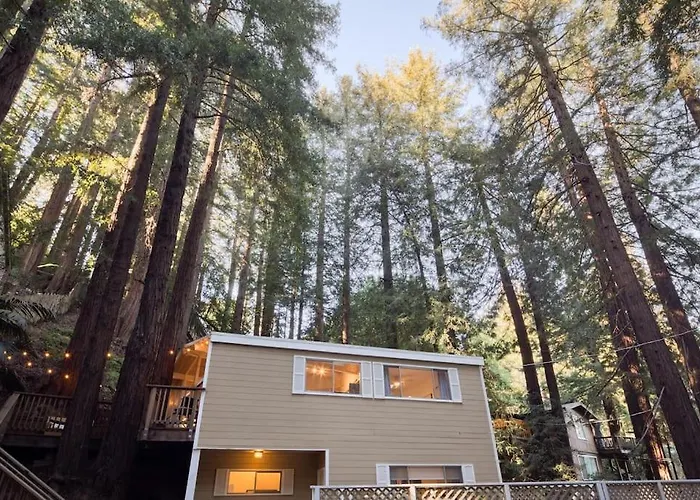 Window To The Redwoods - Near Downtown Mv, Dipsea Trail, & Muir Woods