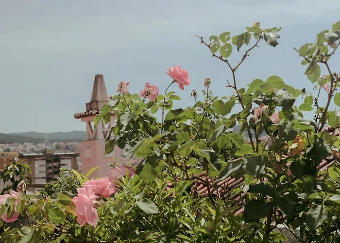 Coimbra Erasmus House - Guest House