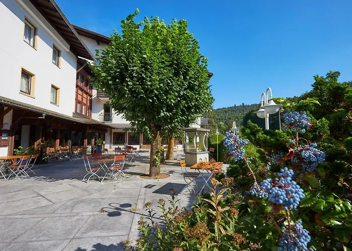 Flair Hotel Dobrachtal