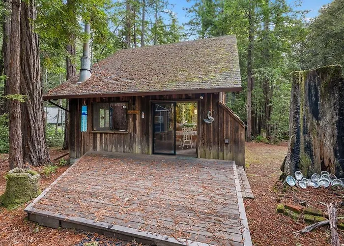 Grandma'S Cabin By The Sea