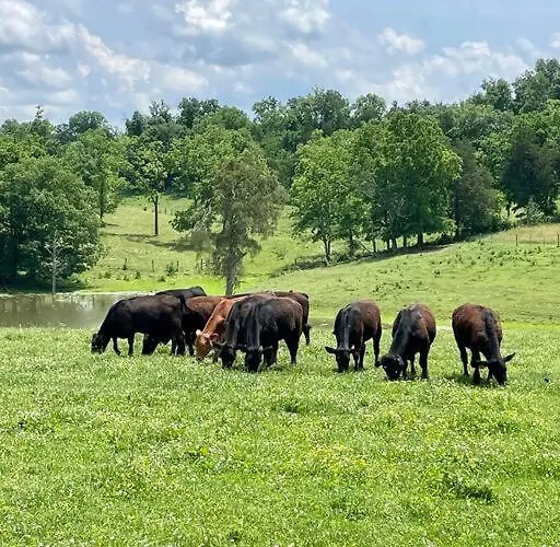 Bourbon Trail: Caboose On The Farm