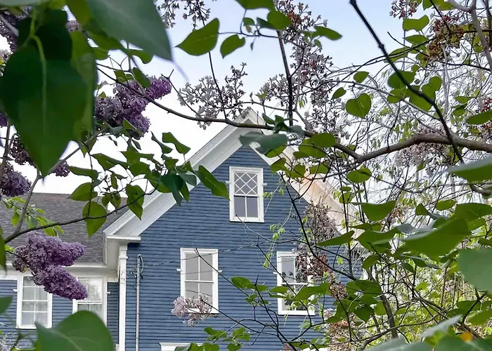 The Blueberry House - Spacious, Family & Pet-Friendly Retreat Near Sebago Lake
