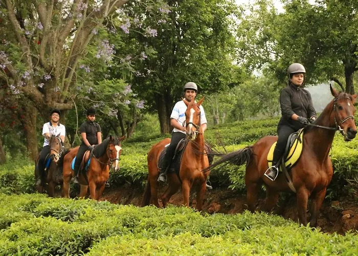 Willow Hill By Nature Resorts And Stays