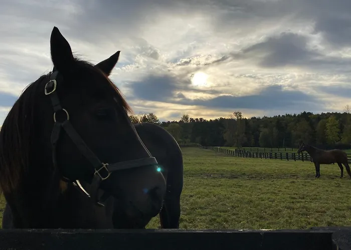 New 3 Bedroom - Thoroughbred Farm & Lake Views!