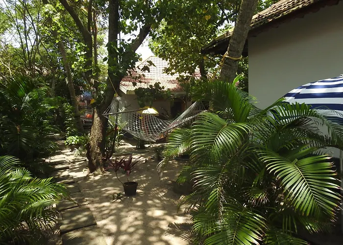 Alleppey Beach Garden