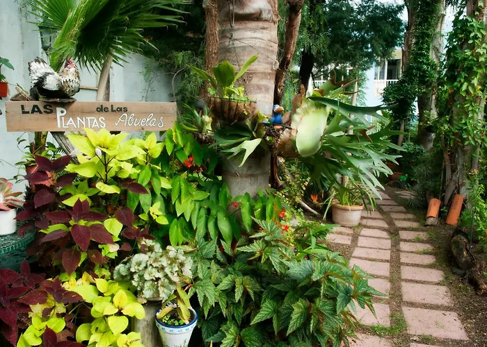 Apartamentos Adjovimar