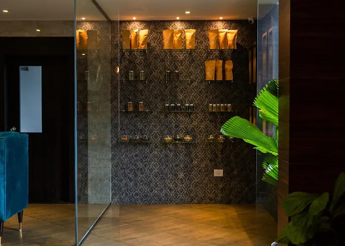 Viceroy Luxury Mountain Resort And Spa