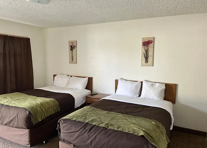 Jet Motor Inn