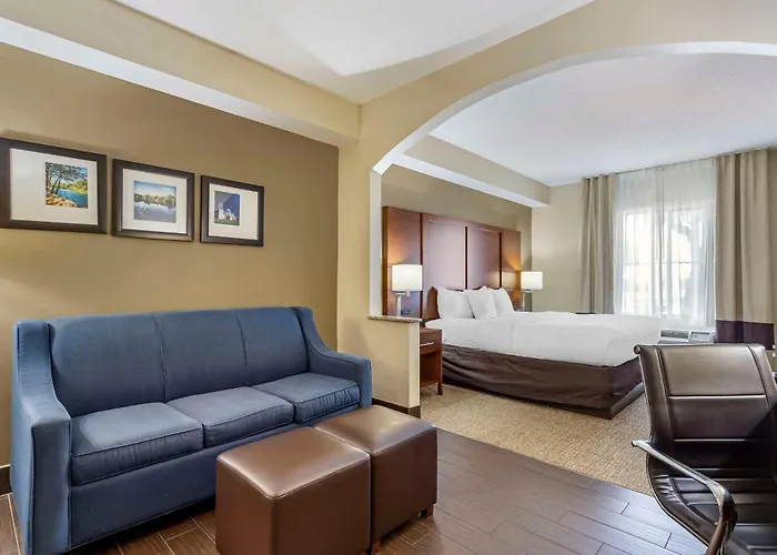 Comfort Inn & Suites Seguin