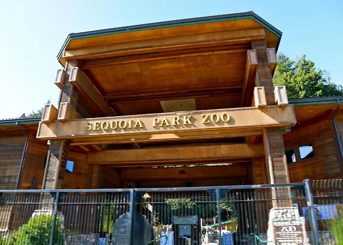The Redwood Skywalk Retreat At Sequoia Park Zoo Projector Billiards Foosball Darts Firepit