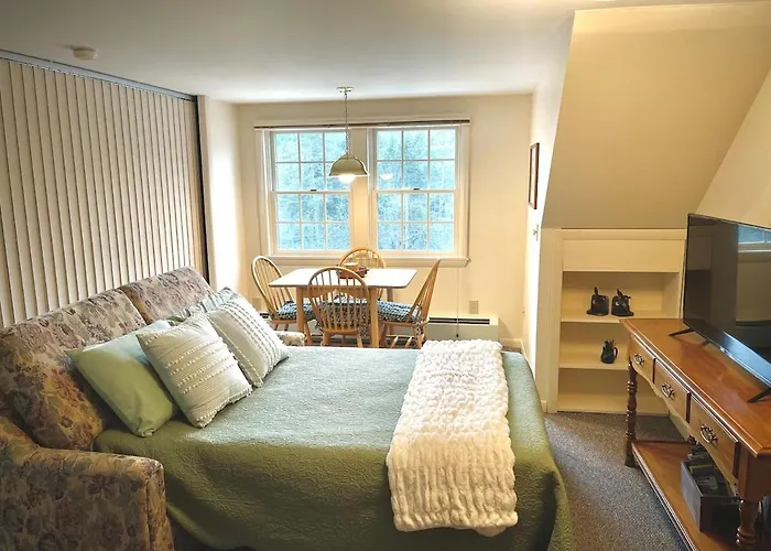 Pet-Friendly Rustic Mtn Home Plus Apt