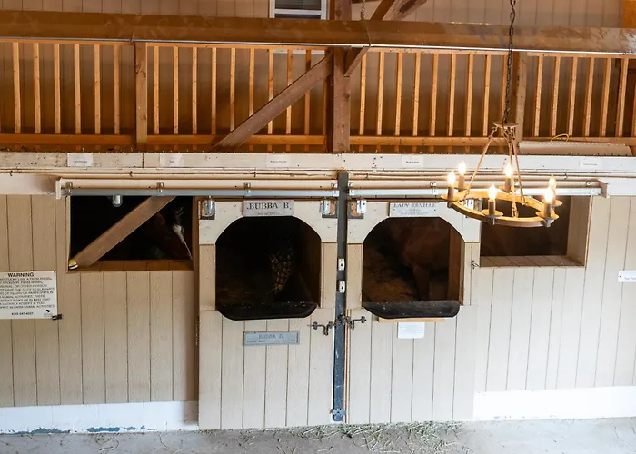 Nicura Ranch Inn & Stables
