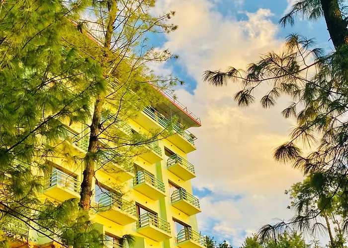 Nature Valley Resort Mashobra By Naina Staycation- Private Parking - Balcony And Valley View Rooms