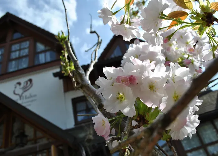 B&B Apart Hotel Goldener Hahn - Pool & Sauna, Fruehstueck Baiersbronn
