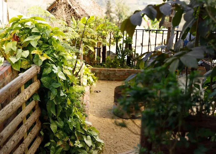 Sapa Plum Eco House
