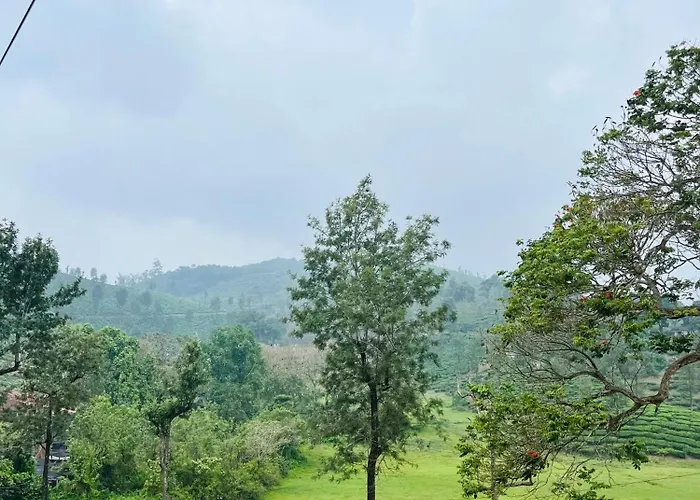 Horizon Vista