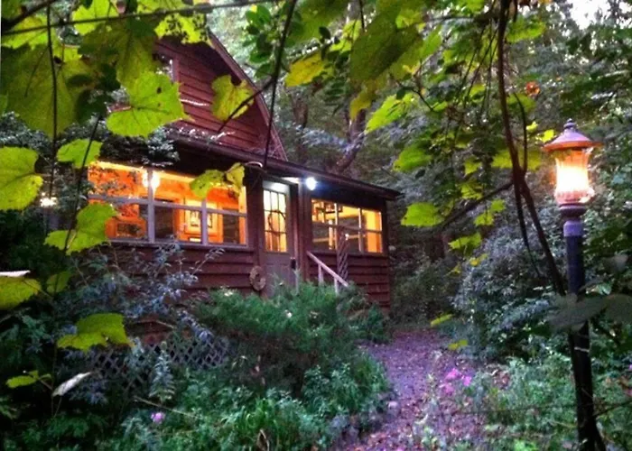 Woodhaven, Darling Romantic Cabin, Atv Trails, Mena, Ar