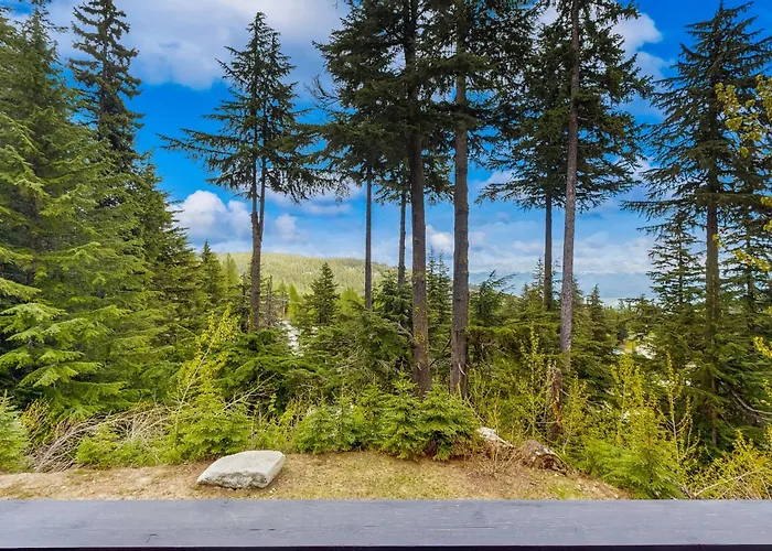 3 Bed 3 Bath Vacation Home In Schweitzer Mountain