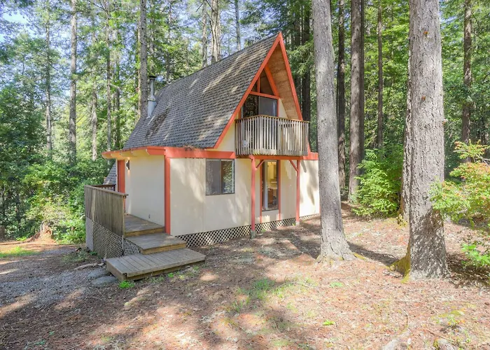Star Nest - Secluded Forest Property