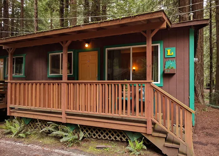 Emerald Forest Cabins