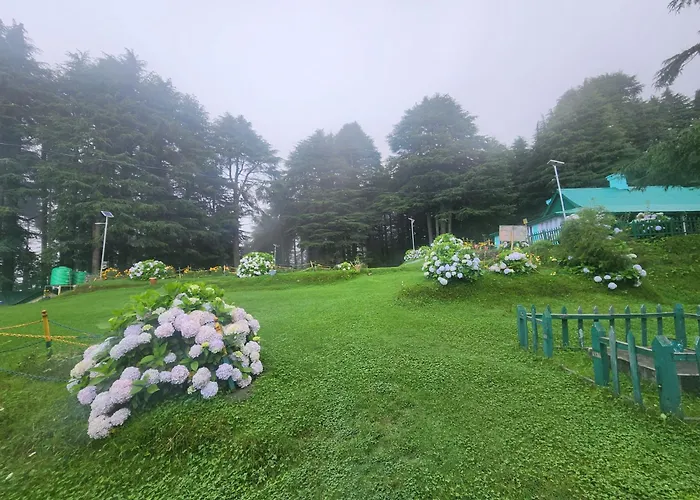 Forest Vibes Kalatop-Rooms And Restaurant