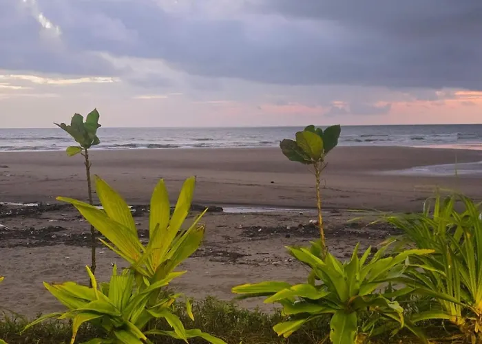 Omisha Beach Stay - Just A 2 Minute Walk To The Beach