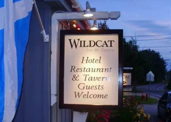 Wildcat Inn And Tavern