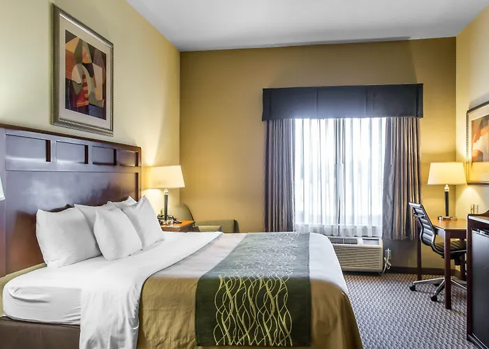 Comfort Inn & Suites