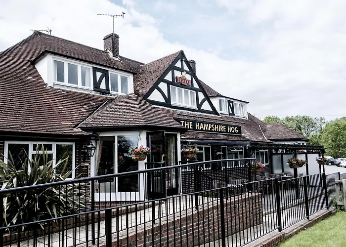 The Hampshire Hog
