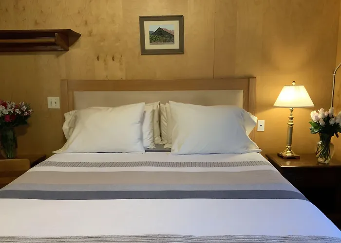 The Woods Hotel - Gay Lgbtq Cabins