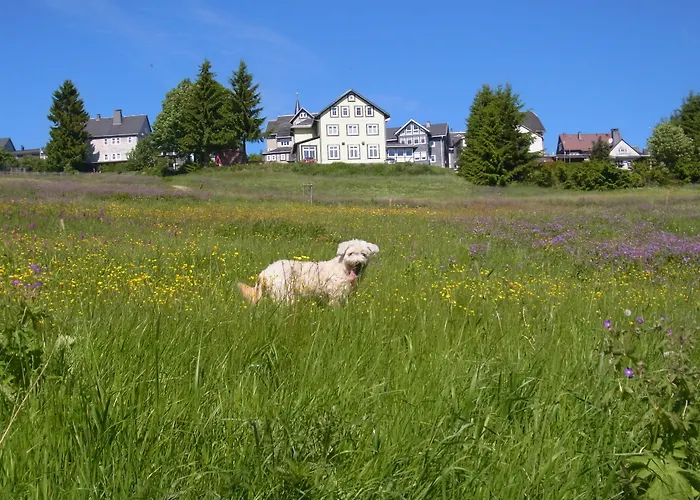 Hotel Schoene Aussicht