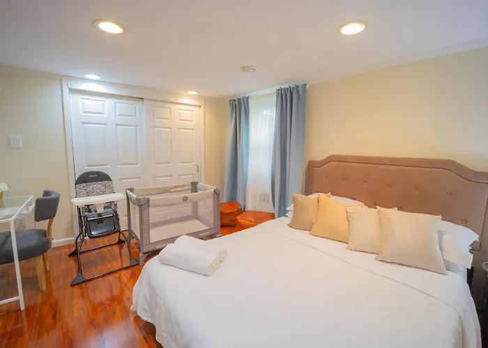 Bright 3Bed Basement With Backyard & Free Parking