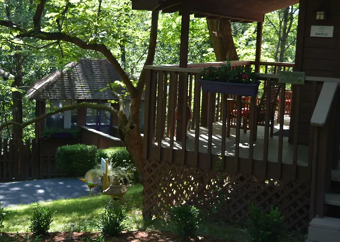 The Woods Cabins