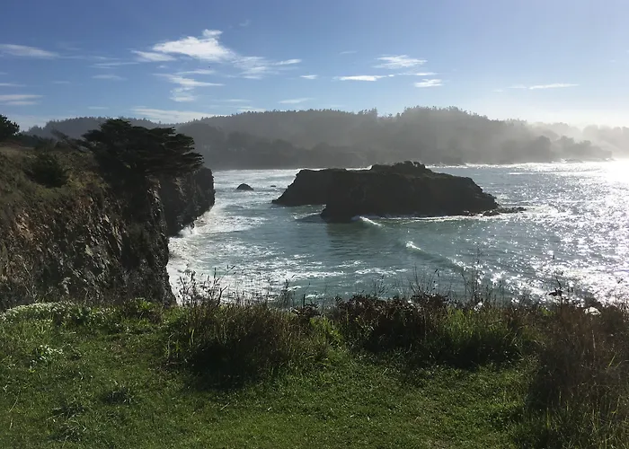 Mendocino Grove